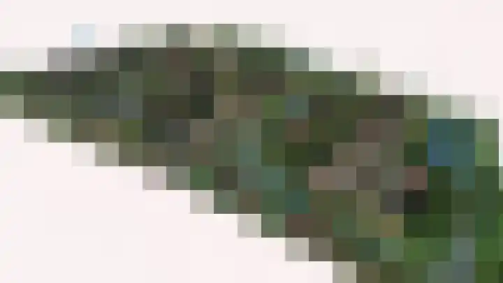 Lentetuin 7 Wijk en Aalburg thumbnail 4