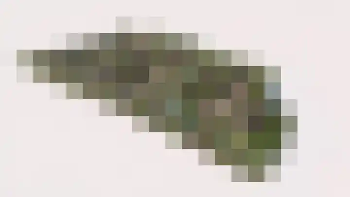 Lentetuin 8 Wijk en Aalburg thumbnail 8