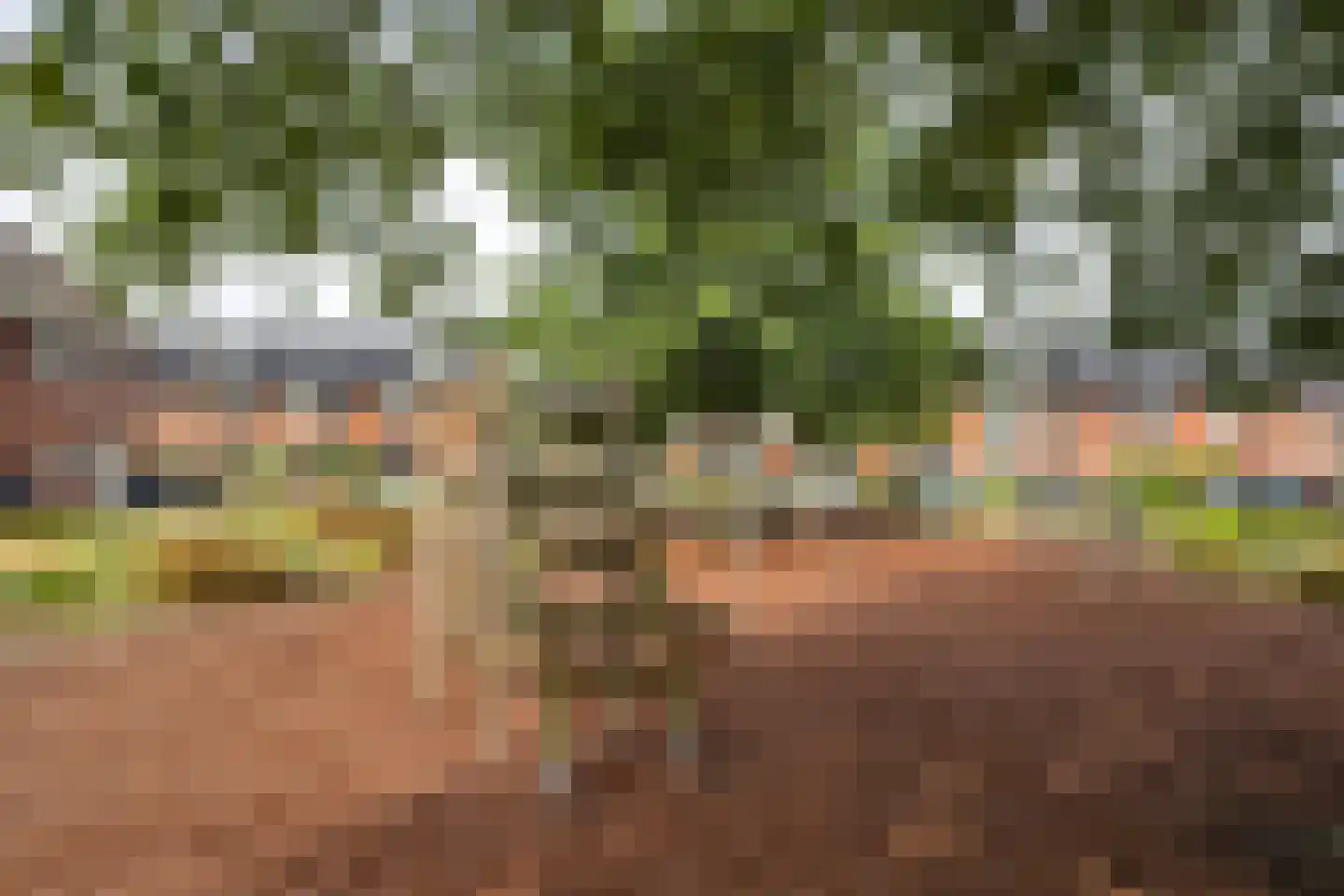 Lentetuinlaan 2 Vleuten thumbnail 23