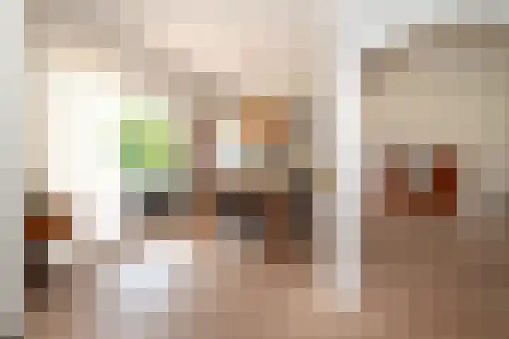 Lentfersweg 20 Rijssen thumbnail 14