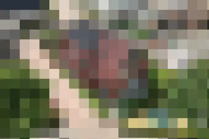 Lentfersweg 20 Rijssen foto 2