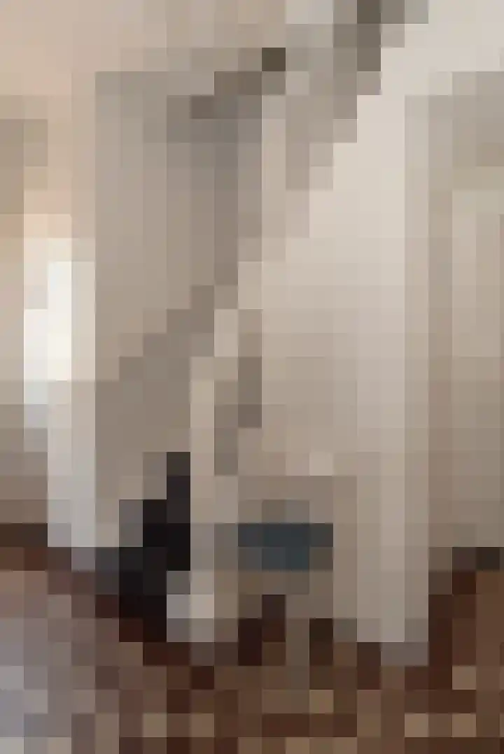 Lentfersweg 20 Rijssen thumbnail 27