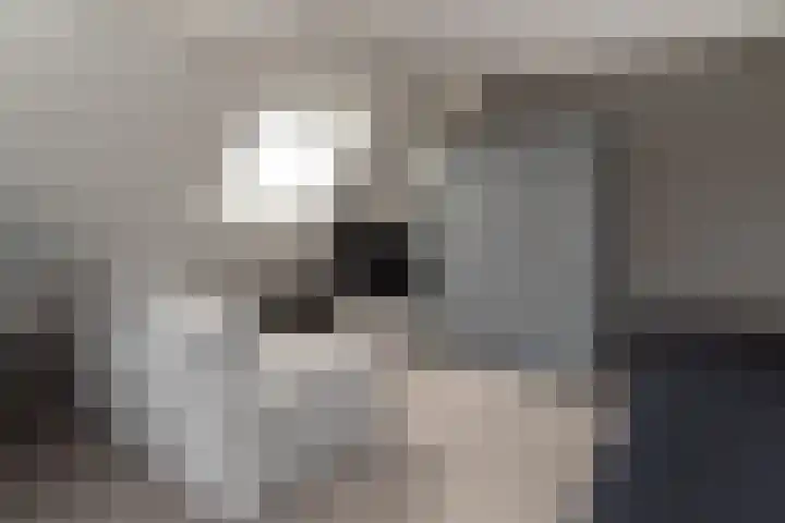 Lentfersweg 20 Rijssen thumbnail 34