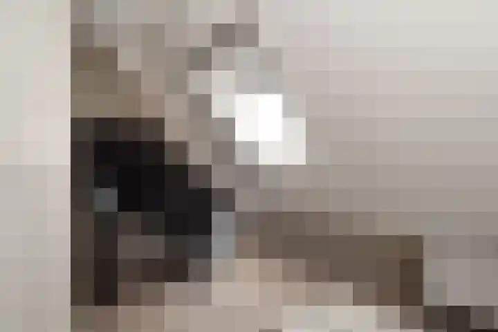 Lentfersweg 20 Rijssen thumbnail 37