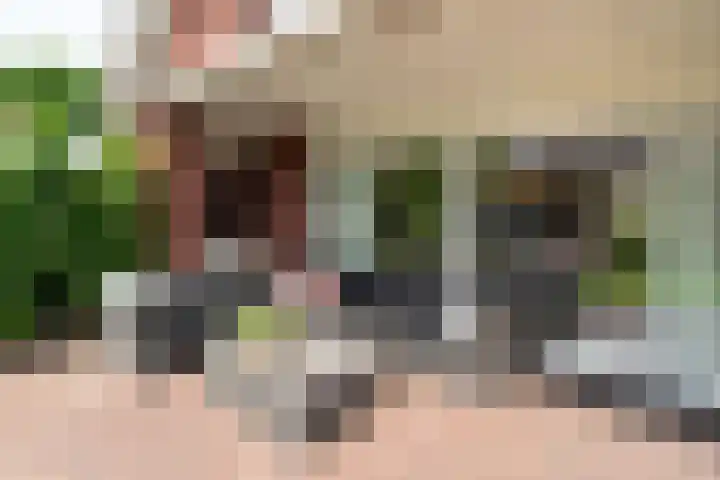 Lentfersweg 20 Rijssen thumbnail 50