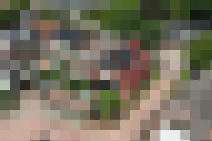 Lentfersweg 20 Rijssen thumbnail 57