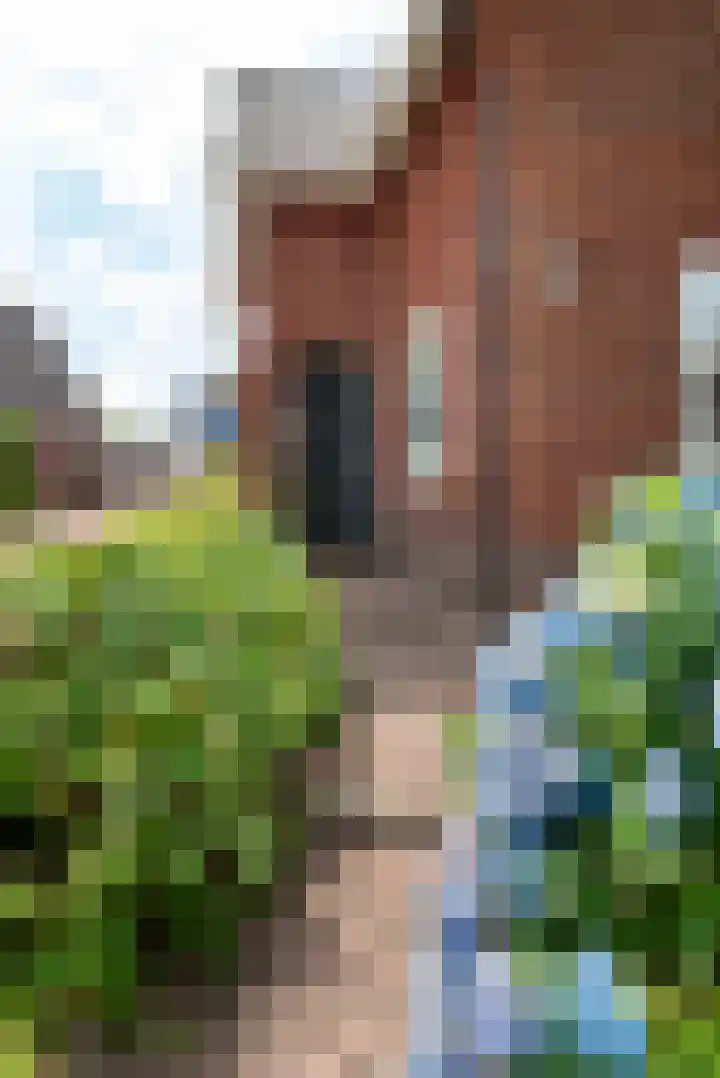 Lentfersweg 20 Rijssen thumbnail 6