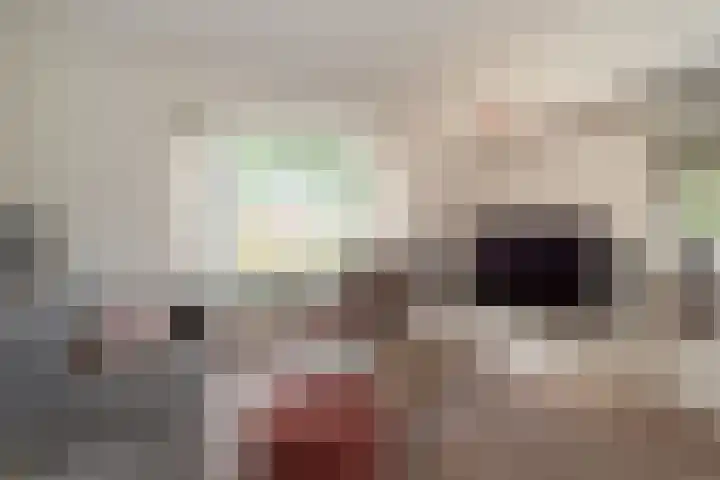 Lentfersweg 20 Rijssen thumbnail 8