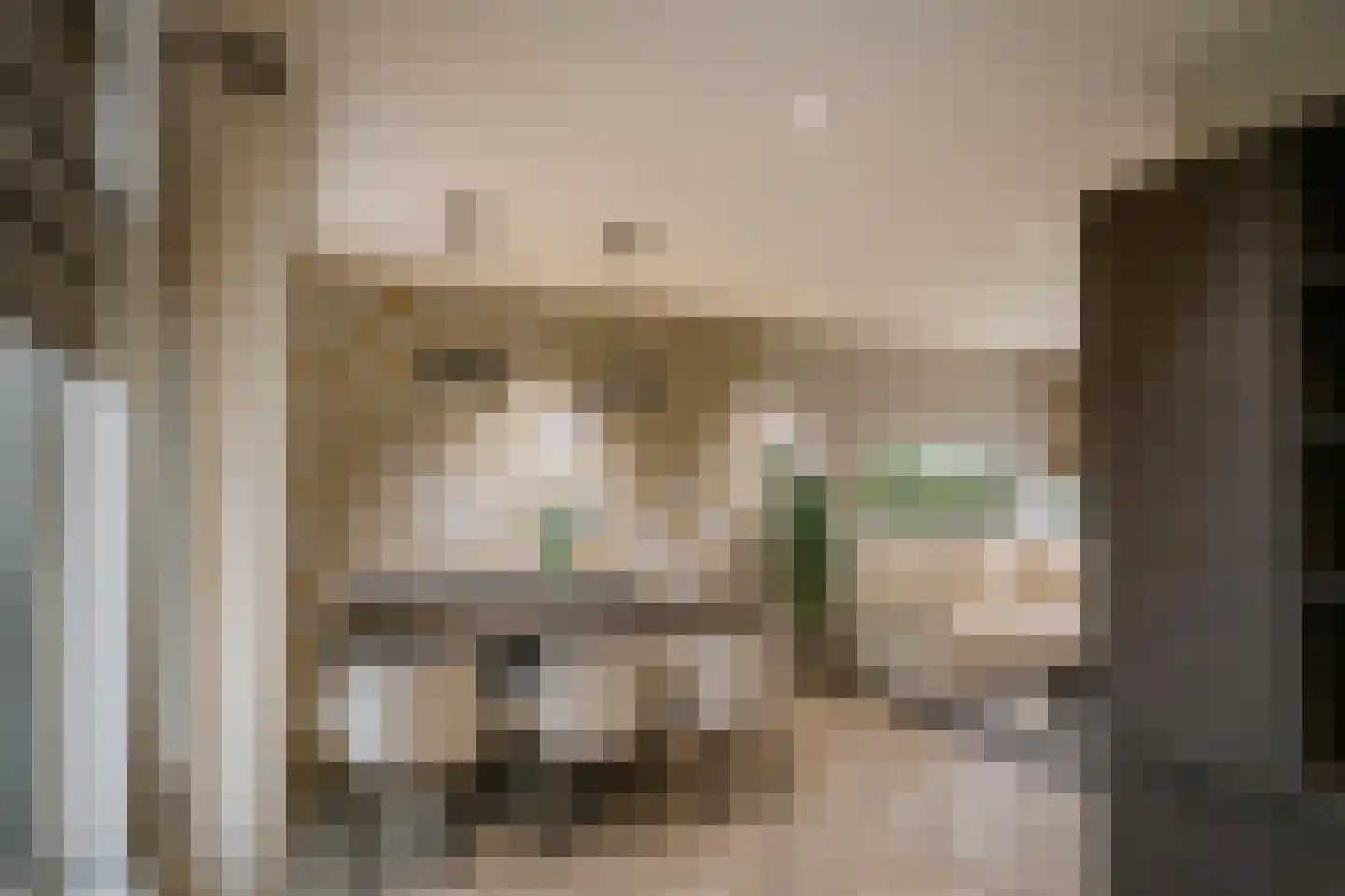 Lentfersweg 58 Rijssen thumbnail 13