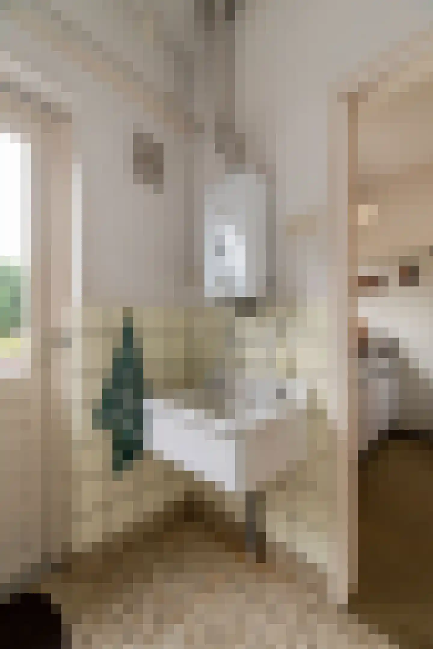 Lentfersweg 58 Rijssen thumbnail 18
