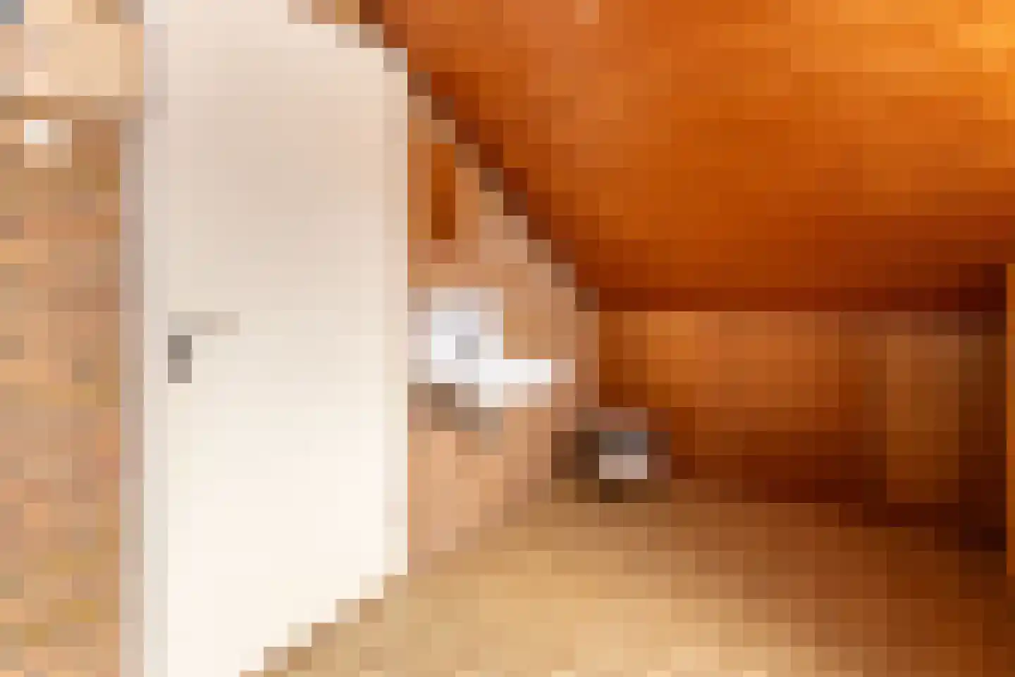Lentfersweg 58 Rijssen thumbnail 24