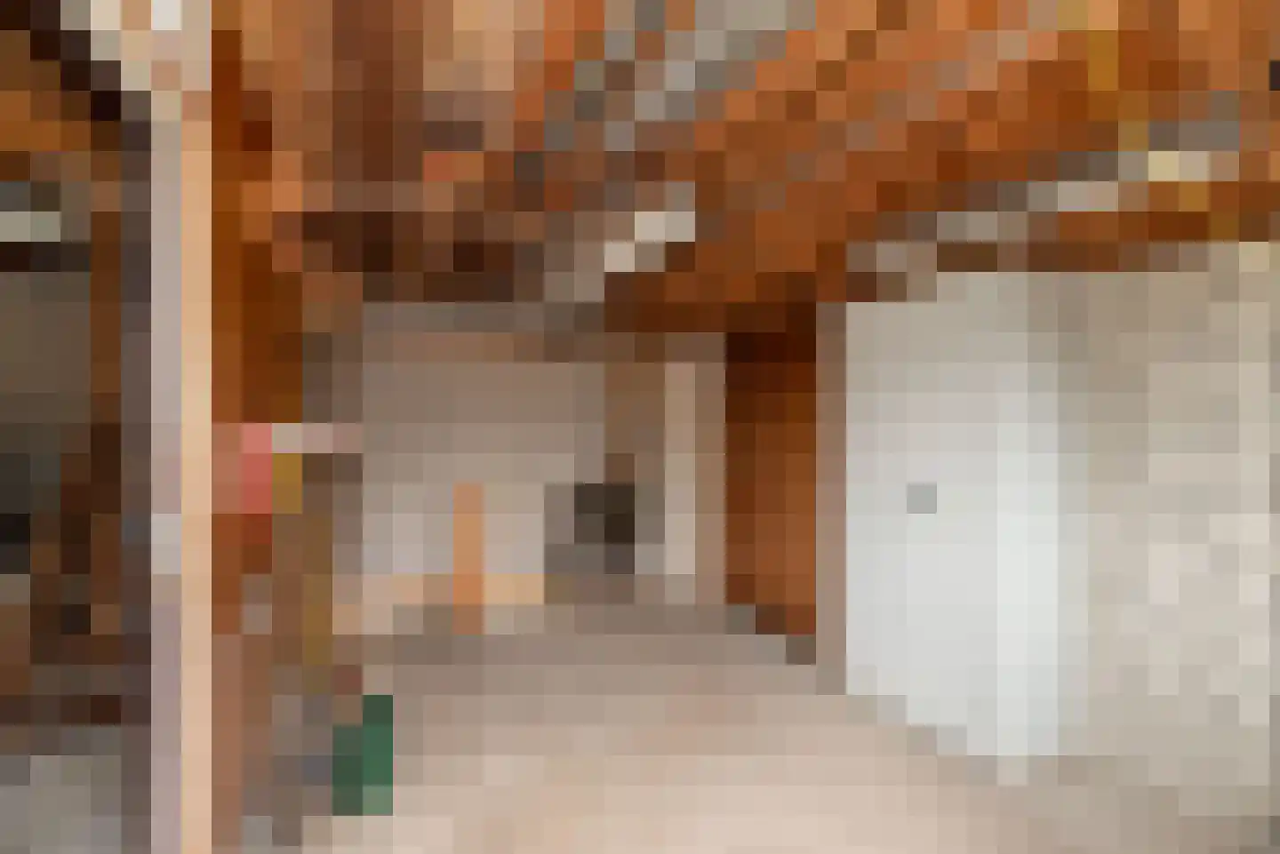 Lentfersweg 58 Rijssen thumbnail 30