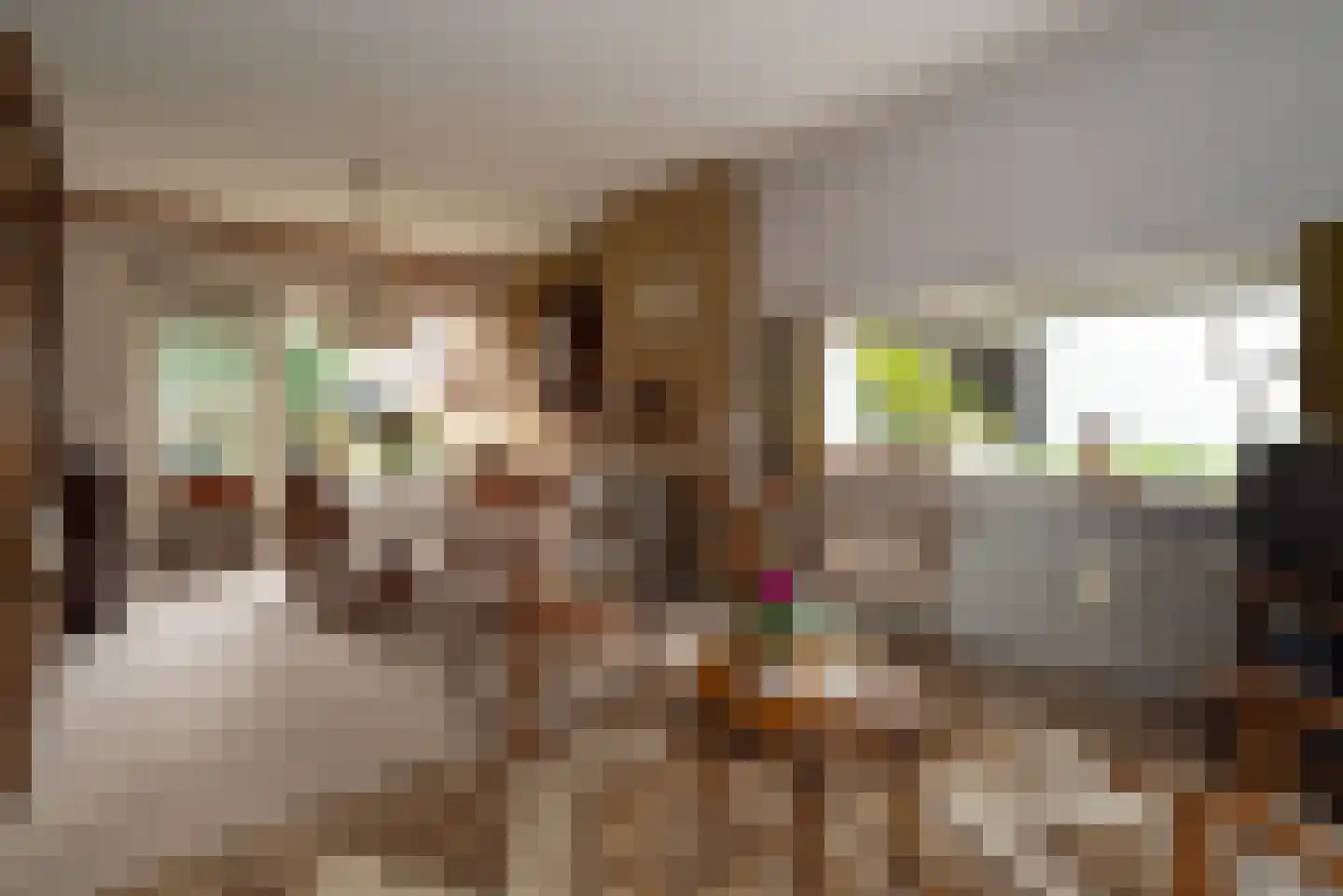 Lentfersweg 58 Rijssen thumbnail 7
