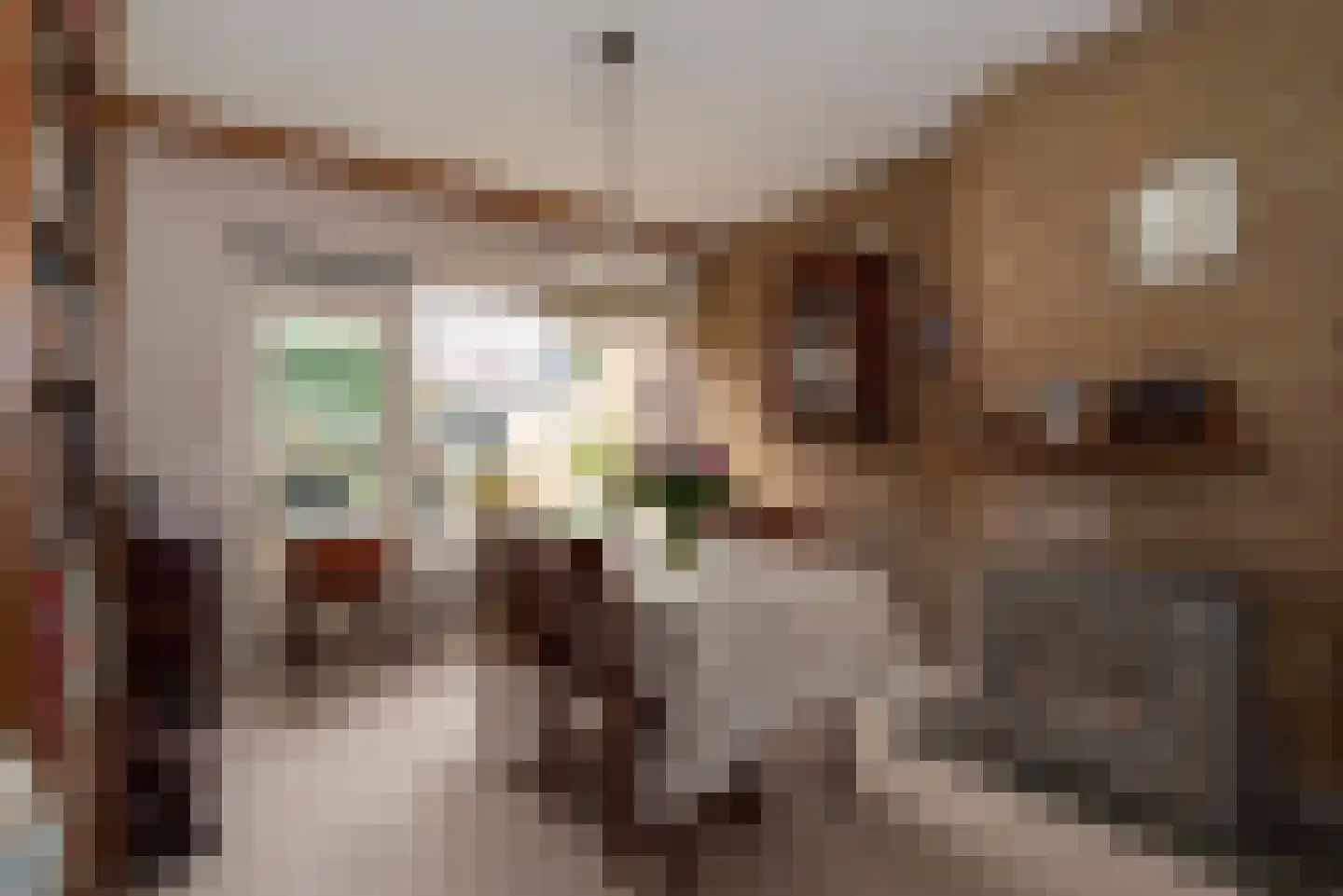 Lentfersweg 58 Rijssen thumbnail 9