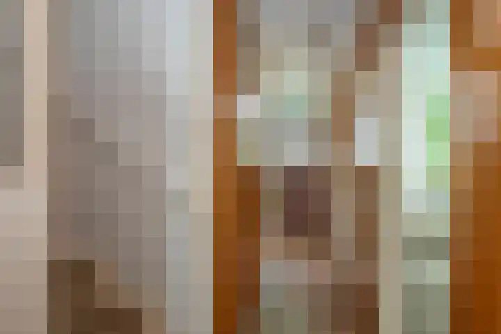 Lentfersweg 90 Rijssen thumbnail 9