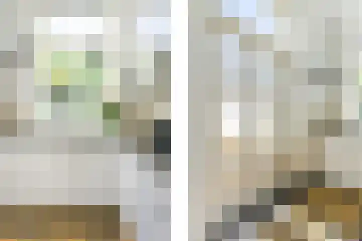 Lentse Tuinstraat 4 Lent thumbnail 13