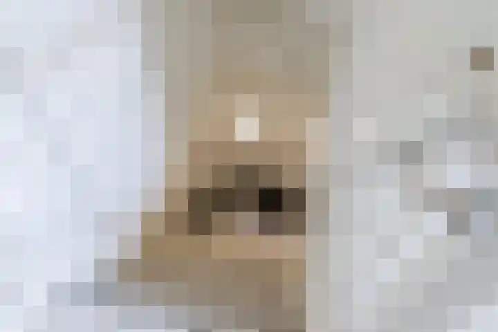 Lentse Tuinstraat 4 Lent thumbnail 17