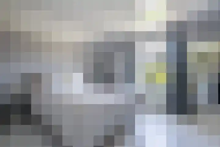 Lentse Tuinstraat 4 Lent thumbnail 18