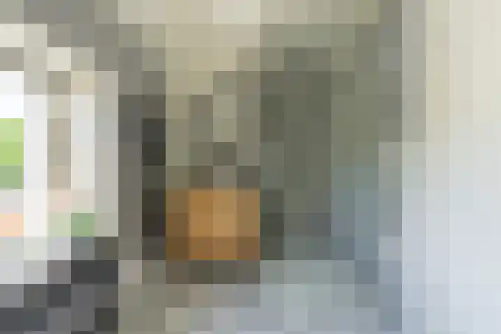 Lentse Tuinstraat 4 Lent thumbnail 21