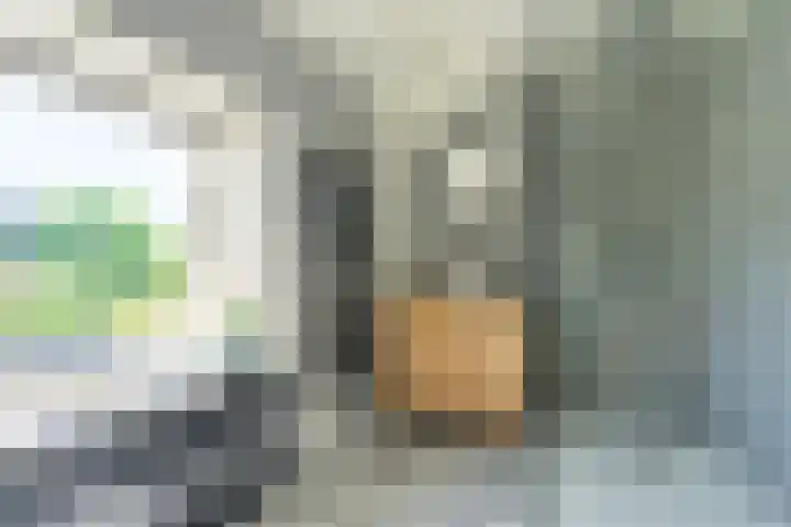 Lentse Tuinstraat 4 Lent thumbnail 22