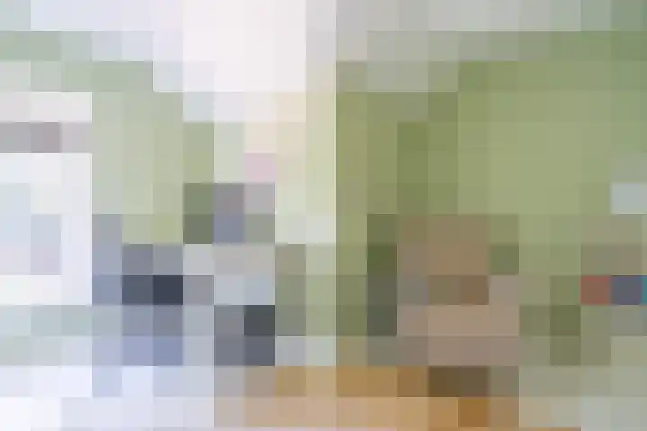 Lentse Tuinstraat 4 Lent thumbnail 27