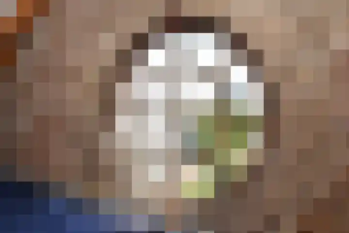 Lentse Tuinstraat 4 Lent thumbnail 32