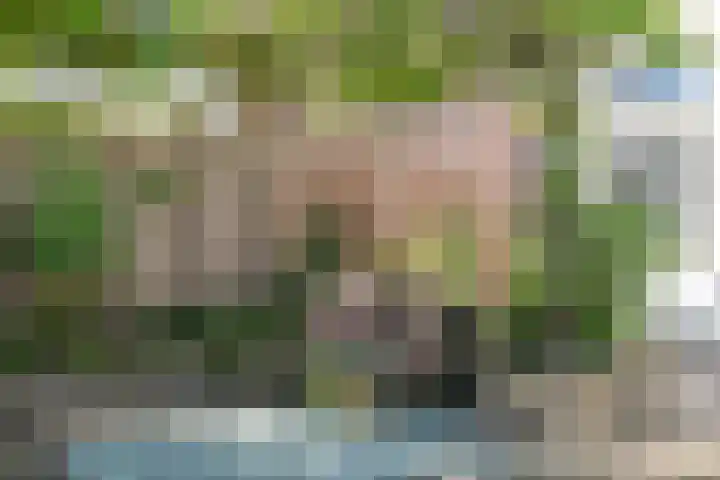 Lentse Tuinstraat 4 Lent thumbnail 38