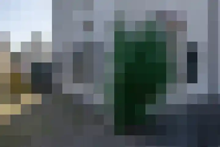 Lentse Tuinstraat 4 Lent thumbnail 46