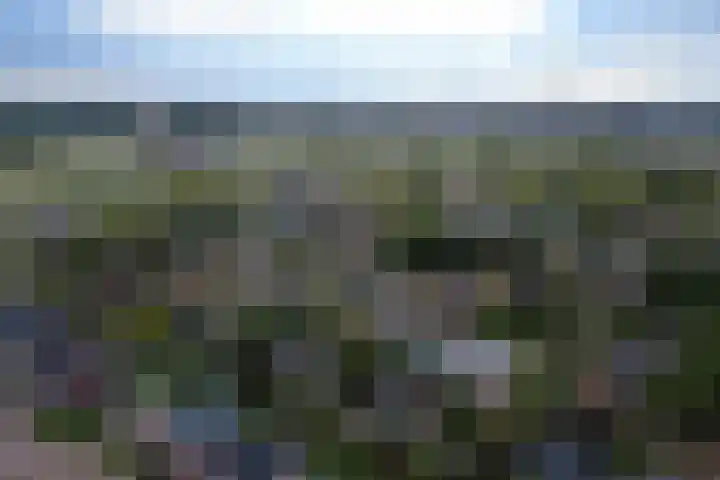 Lentse Tuinstraat 4 Lent thumbnail 50