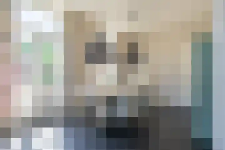 Lentse Tuinstraat 4 Lent thumbnail 7