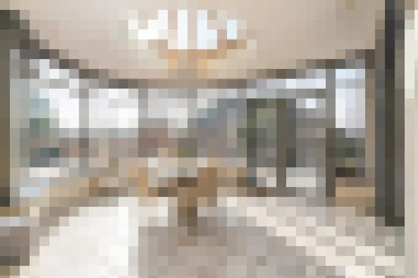 Lentsebaan 52 Wernhout thumbnail 16