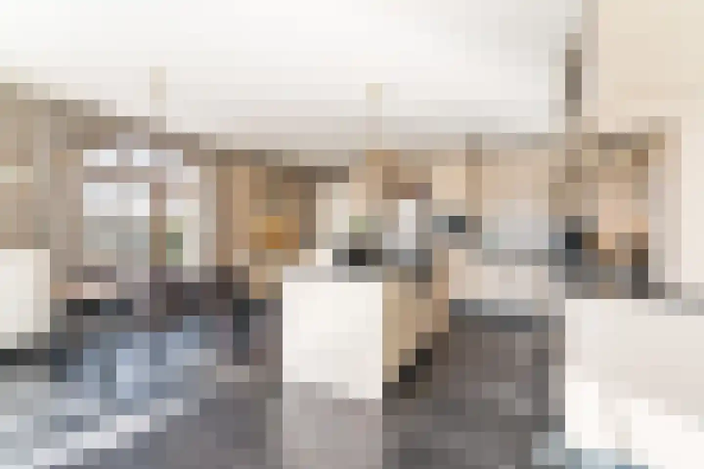 Lentsebaan 52 Wernhout thumbnail 18