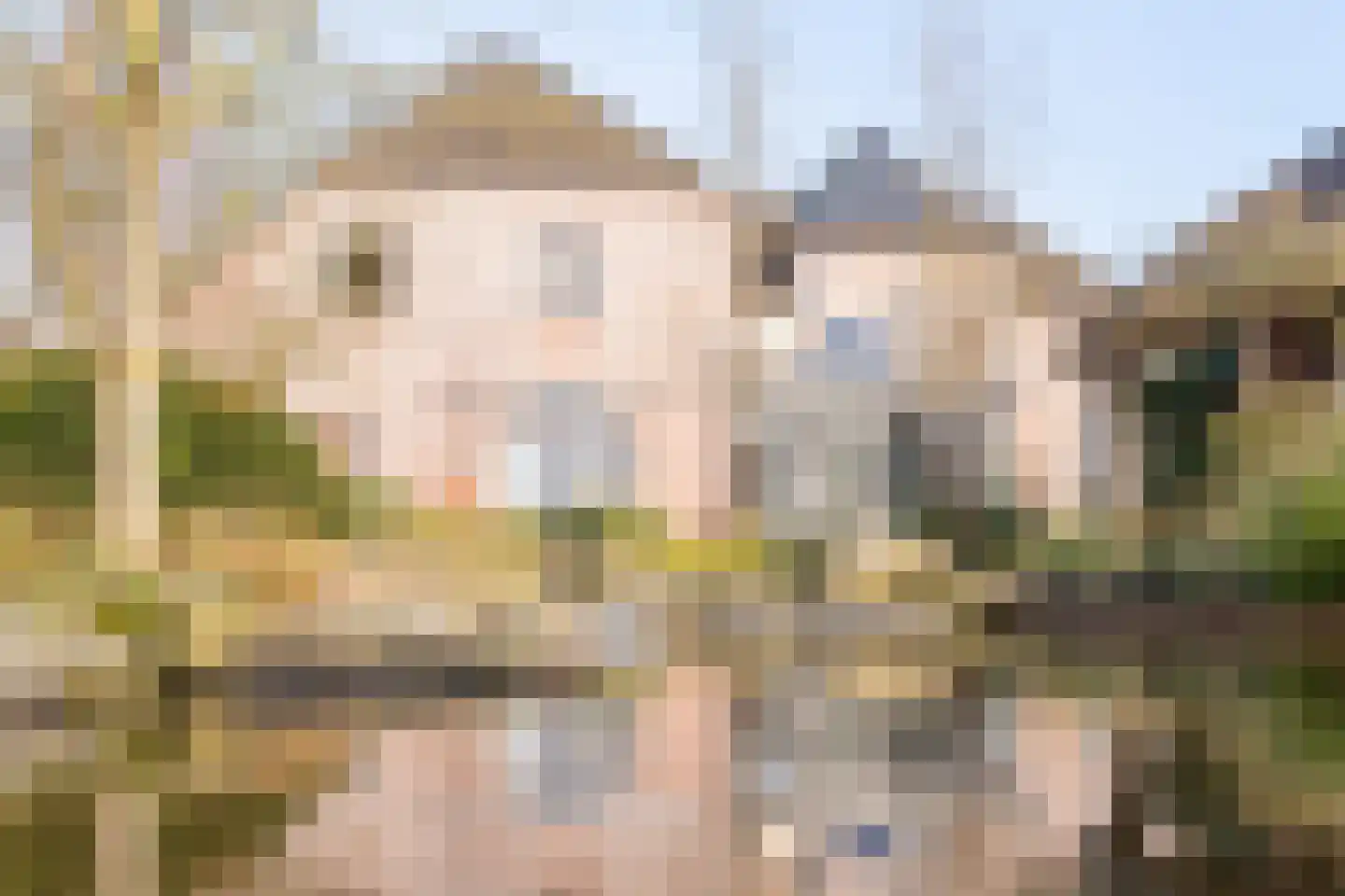 Lentsebaan 52 Wernhout thumbnail 42