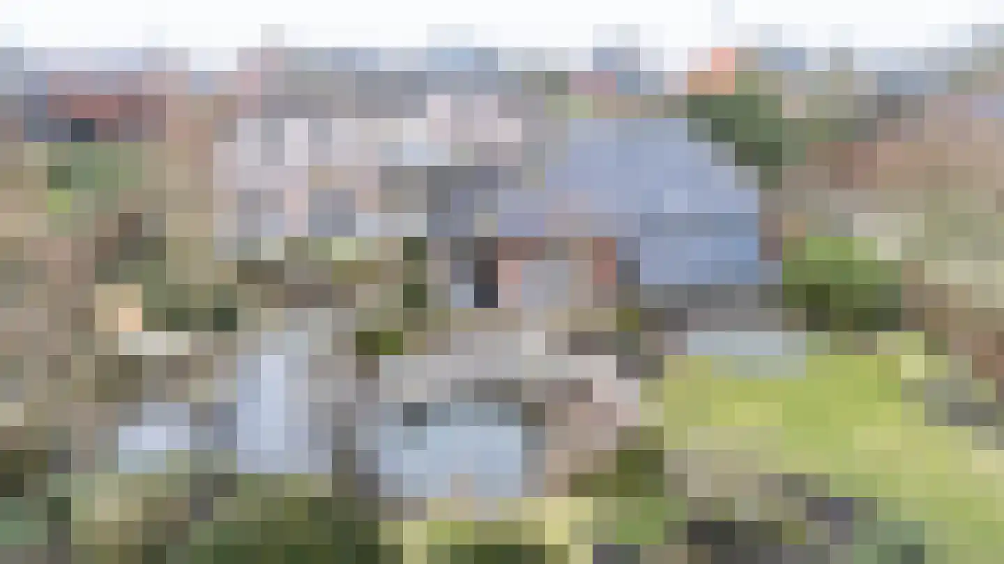Lentsebaan 52 Wernhout thumbnail 6