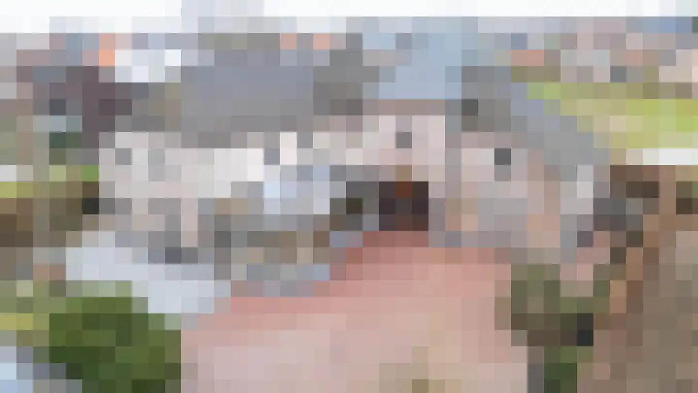 Lentsebaan 52 Wernhout thumbnail 8