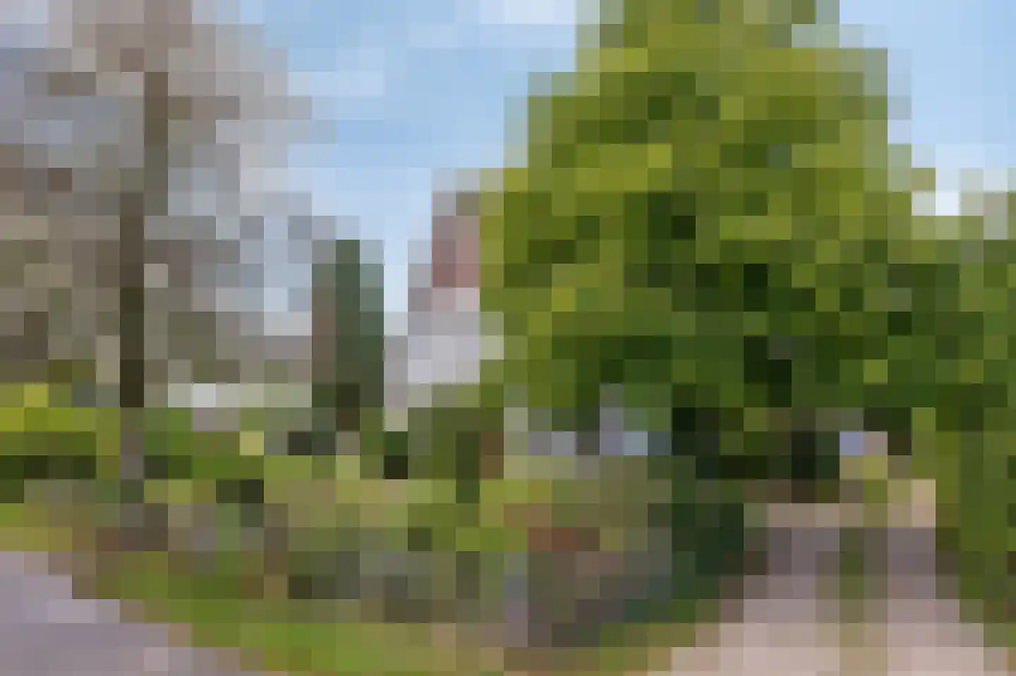 Lentsesteeg 15 a Rheden thumbnail 6