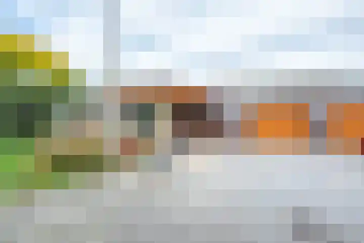 Leo Ascherhof 17 Utrecht thumbnail 45