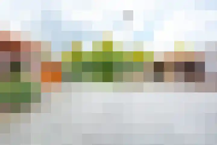 Leo Ascherhof 17 Utrecht thumbnail 46