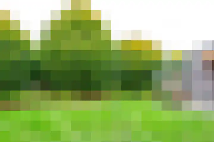Leo Ascherhof 17 Utrecht thumbnail 48