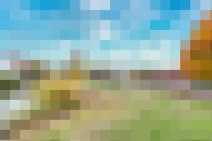 Leo Ascherhof 17 Utrecht thumbnail 51