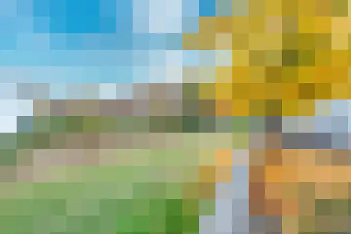Leo Ascherhof 17 Utrecht thumbnail 53