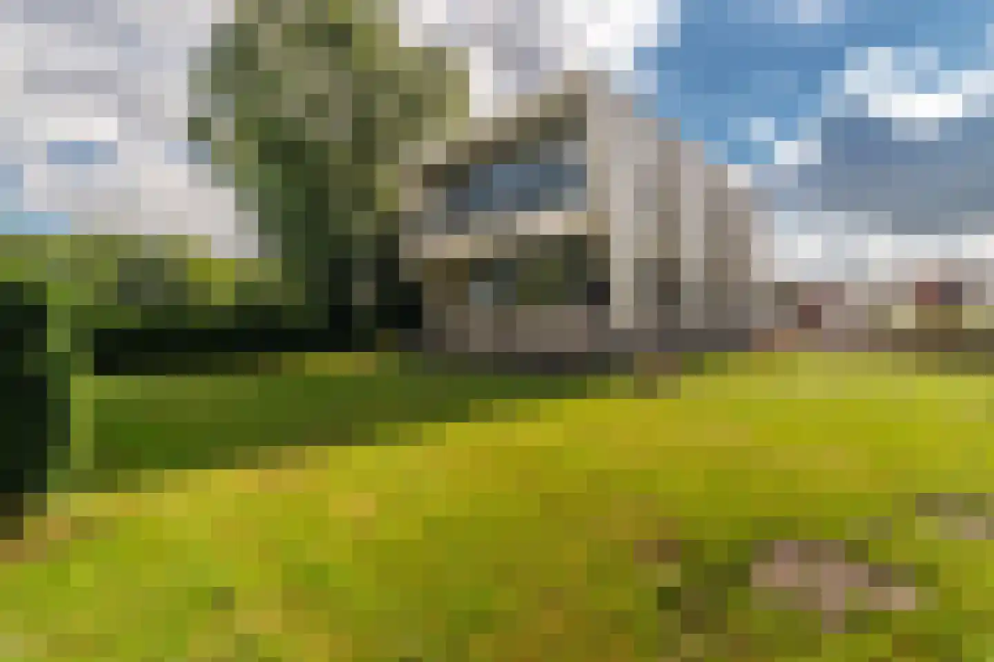 Leo de Weijshof 15 Wildervank thumbnail 11