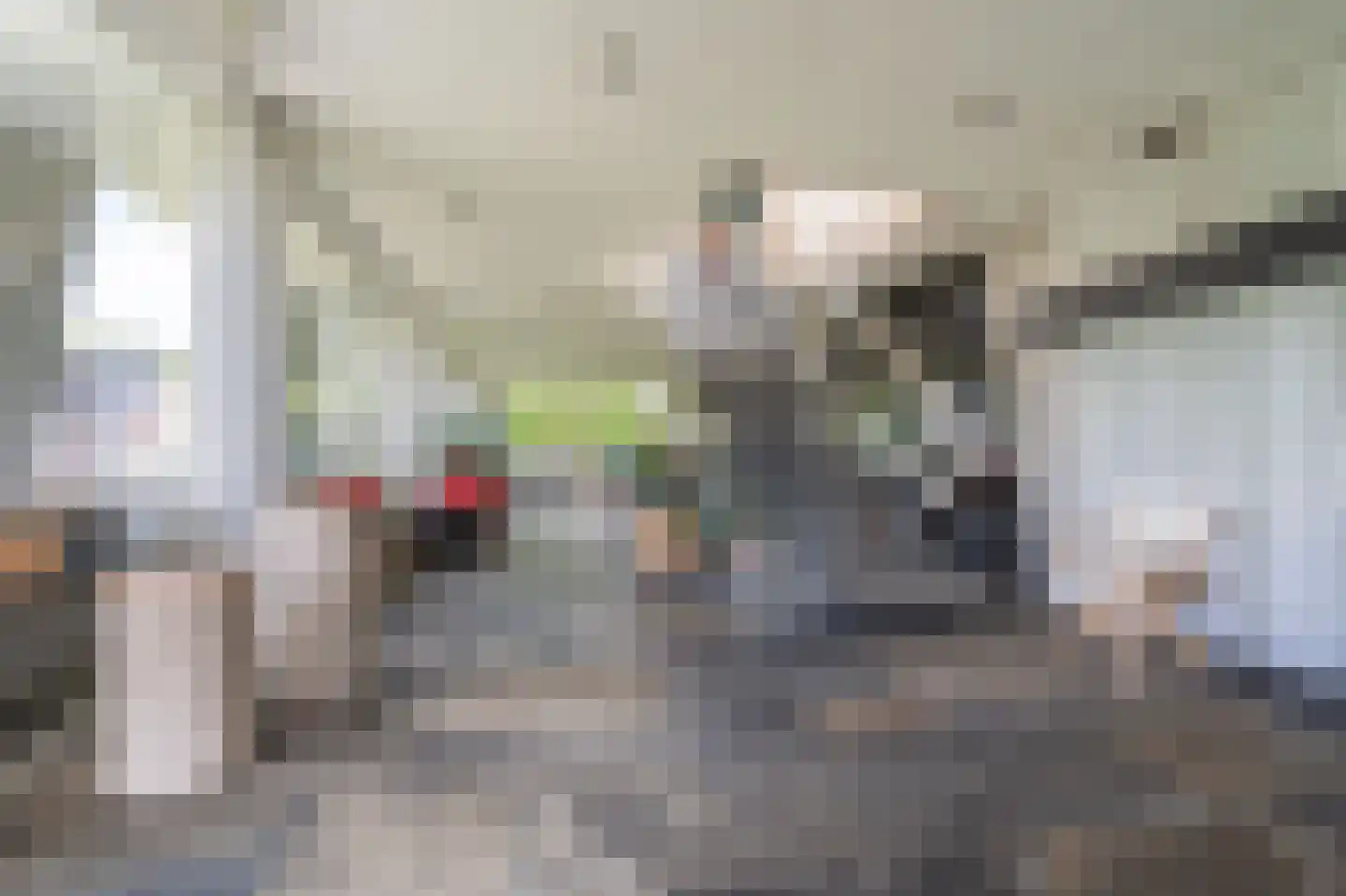 Leo de Weijshof 15 Wildervank thumbnail 12