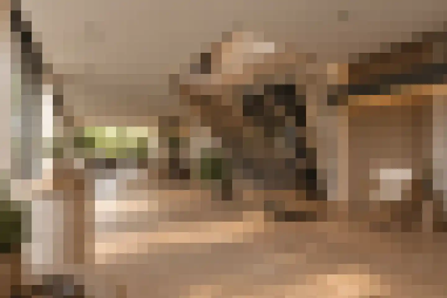 Leo de Weijshof 15 Wildervank thumbnail 13