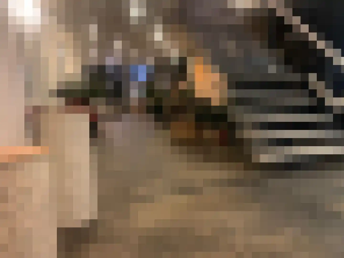 Leo de Weijshof 15 Wildervank thumbnail 19