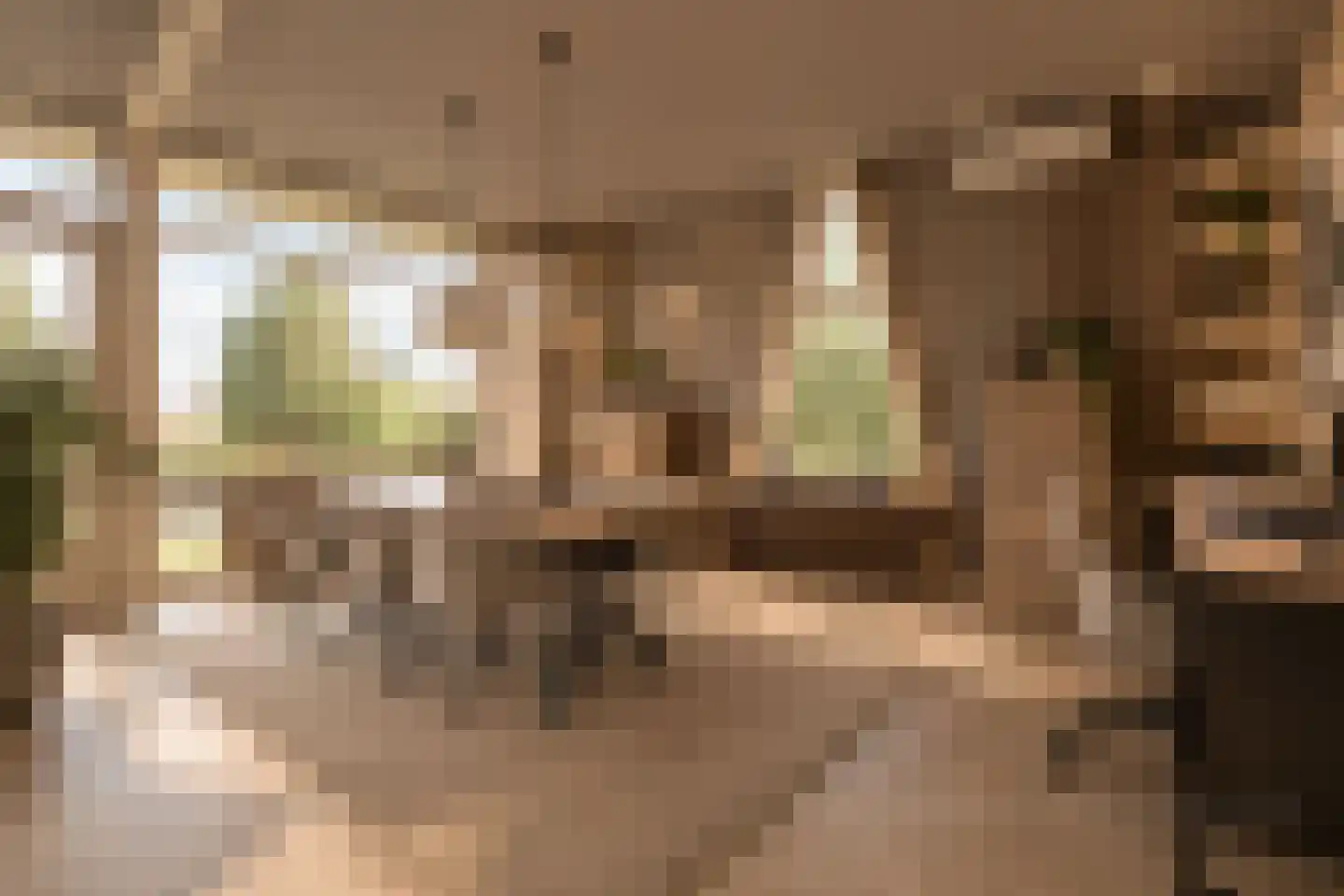 Leo de Weijshof 15 Wildervank thumbnail 31