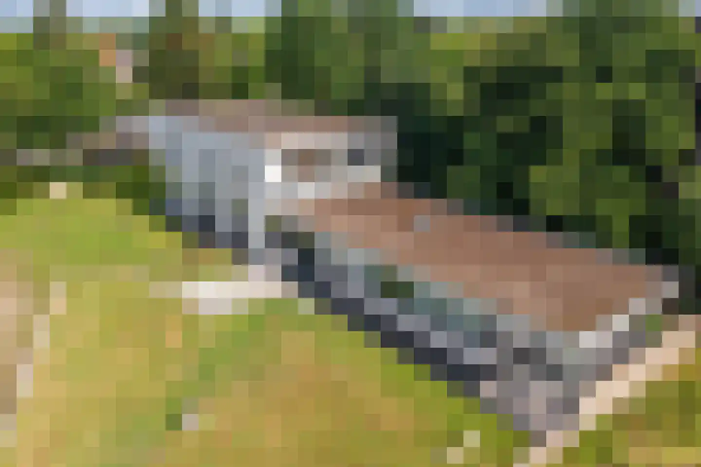 Leo de Weijshof 15 Wildervank thumbnail 4