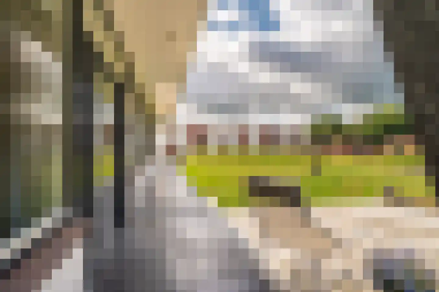 Leo de Weijshof 15 Wildervank thumbnail 43
