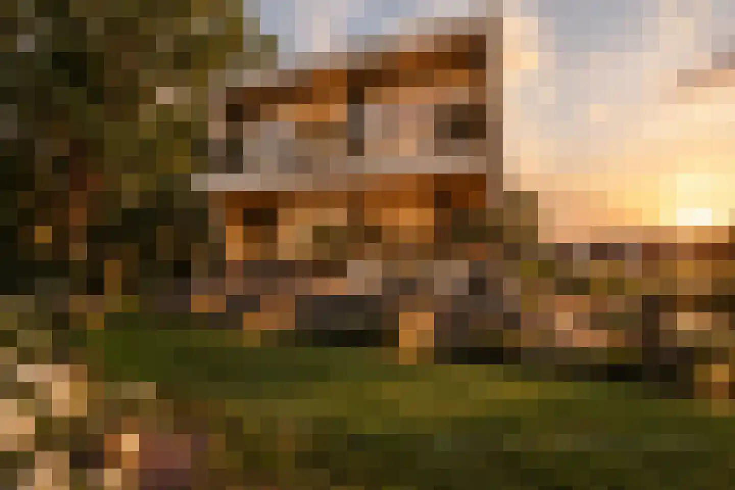 Leo de Weijshof 15 Wildervank thumbnail 49