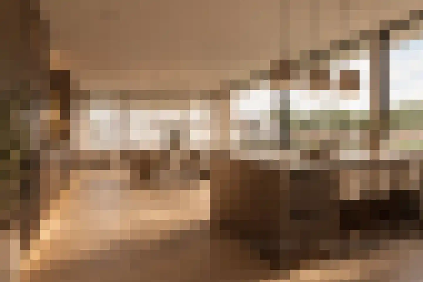 Leo de Weijshof 15 Wildervank thumbnail 5